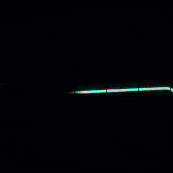 Neonseed